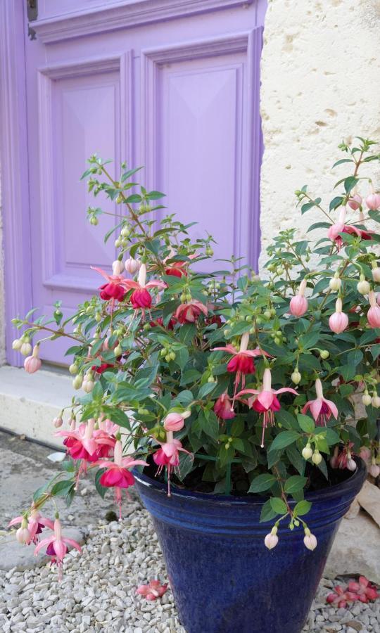 Gite Rural La Maison Mauve Ventouse Zewnętrze zdjęcie